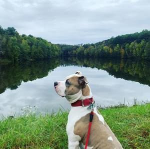 Meet your Posher, Jay